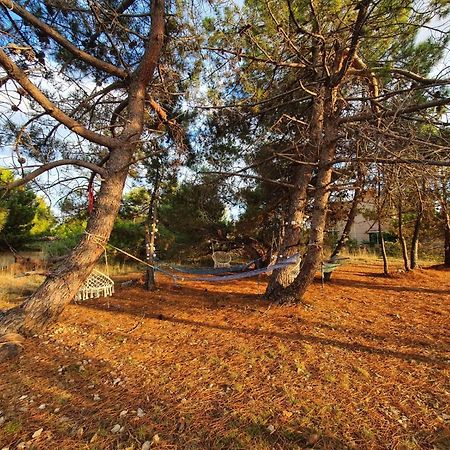 Apartmani Bellevue Vir Dış mekan fotoğraf