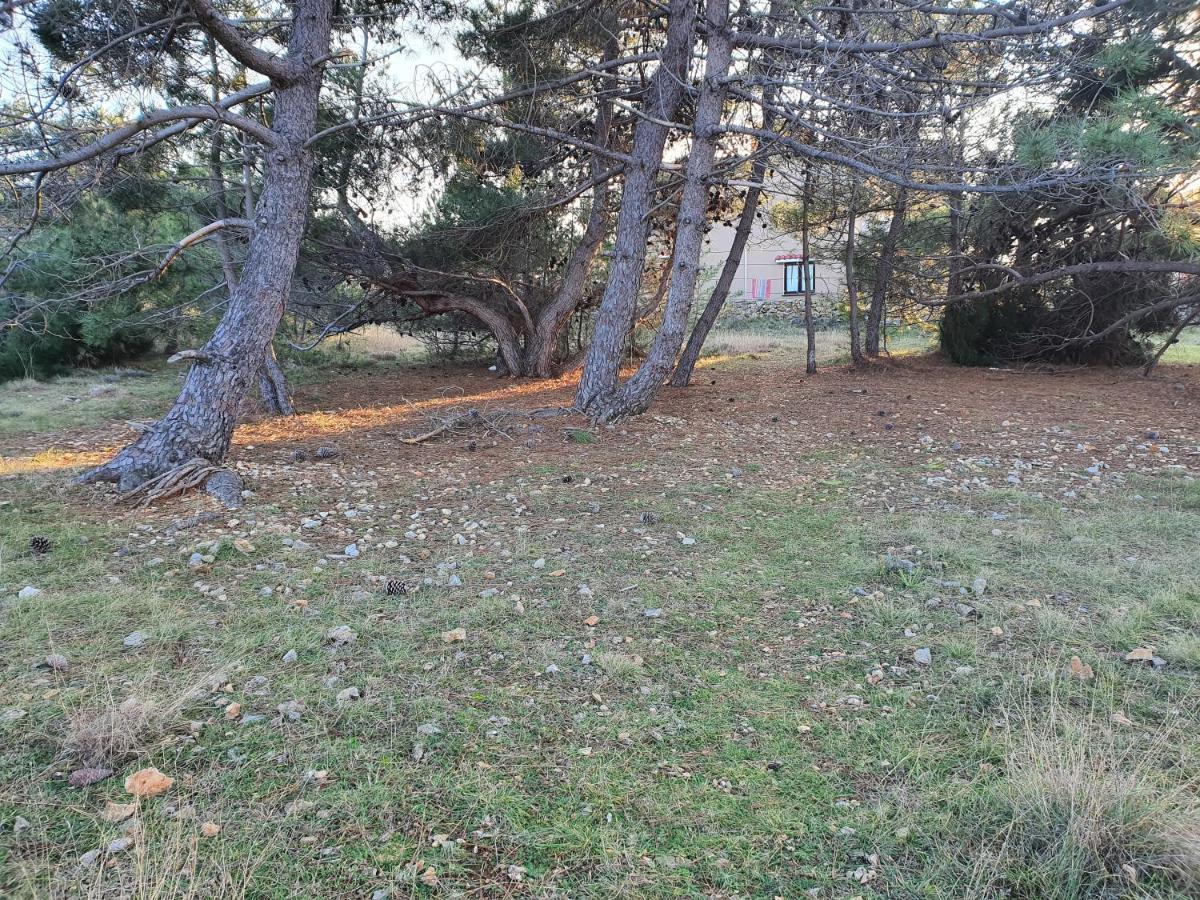 Apartmani Bellevue Vir Dış mekan fotoğraf