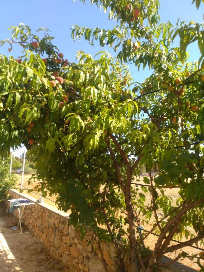 Apartmani Bellevue Vir Dış mekan fotoğraf