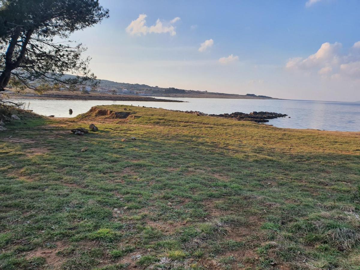Apartmani Bellevue Vir Dış mekan fotoğraf