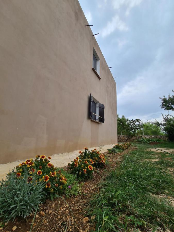 Apartmani Bellevue Vir Dış mekan fotoğraf