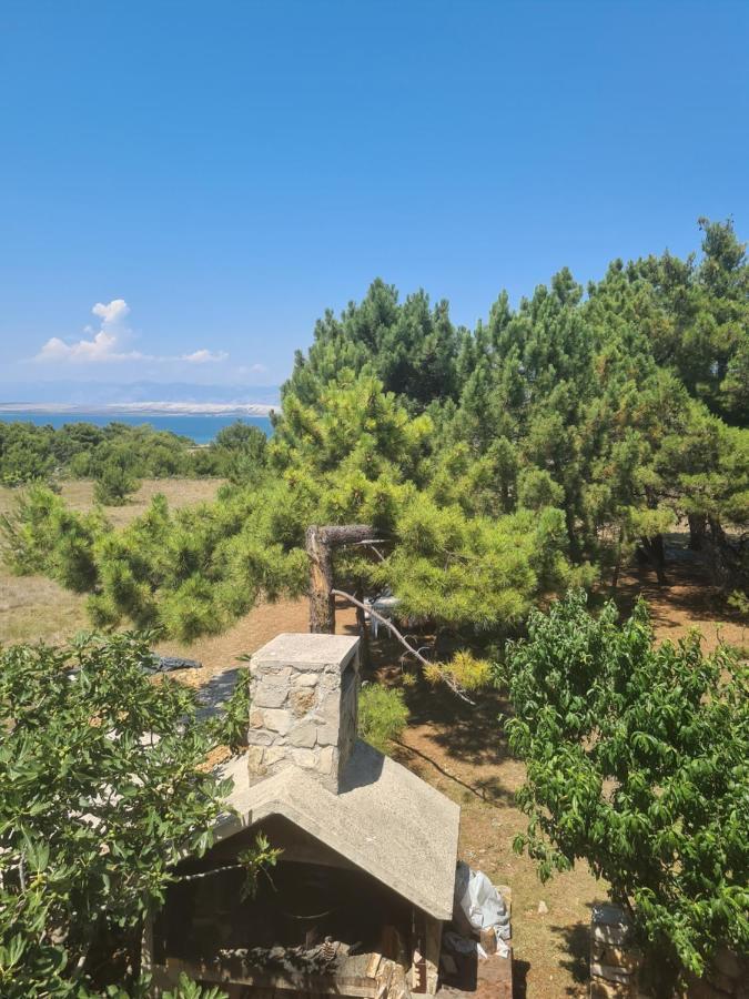 Apartmani Bellevue Vir Dış mekan fotoğraf