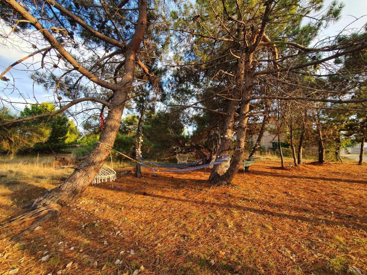 Apartmani Bellevue Vir Dış mekan fotoğraf